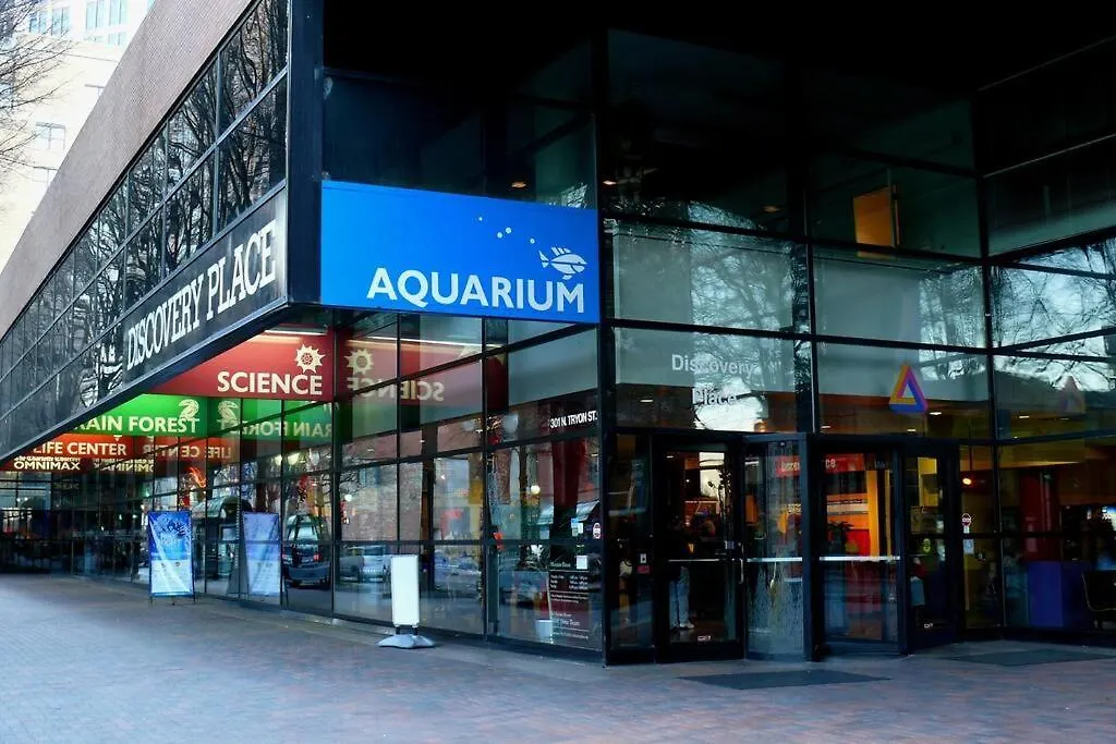 Apartment Fun & Eccentric + Uptown + Getaway + King Studio Charlotte